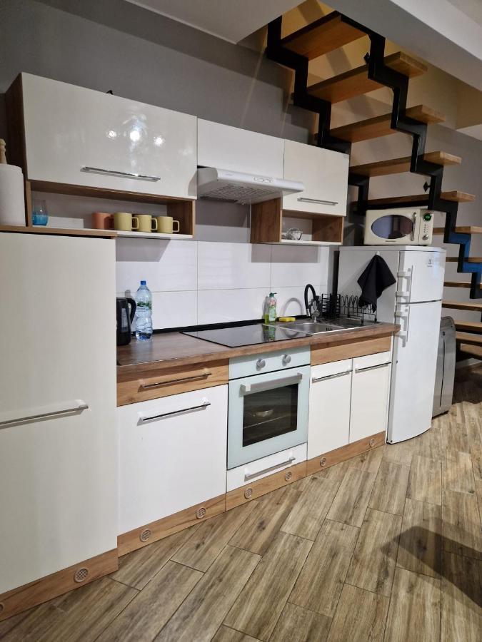 شقة Apartament Przybudowka كاتوفيتسه المظهر الخارجي الصورة